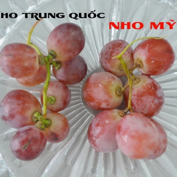 Cách phân biệt nho đỏ hạt Mỹ và nho đỏ Trung Quốc